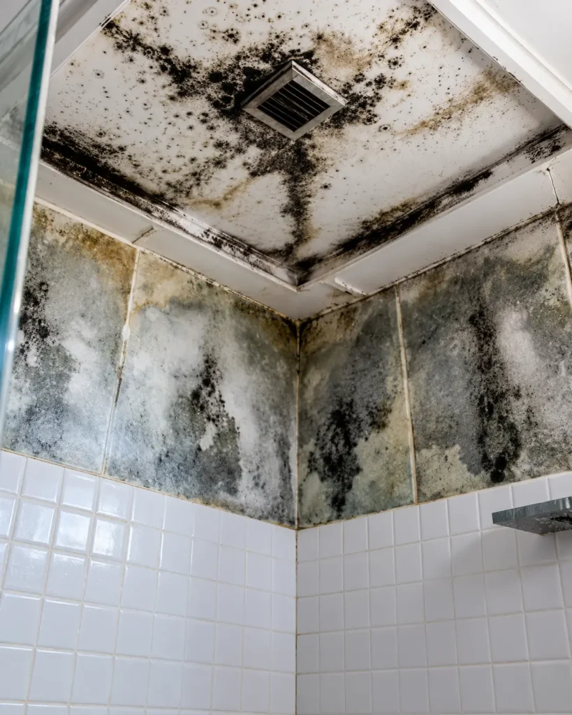Mold damaged shower ceiling and tiles before remodel